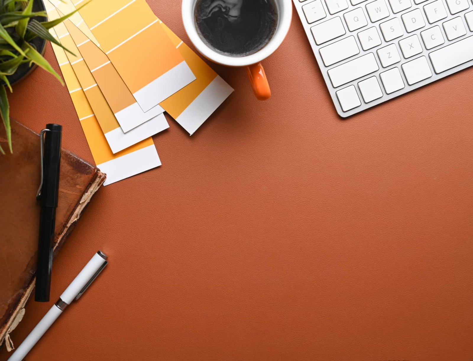 Contrast in Brand Design